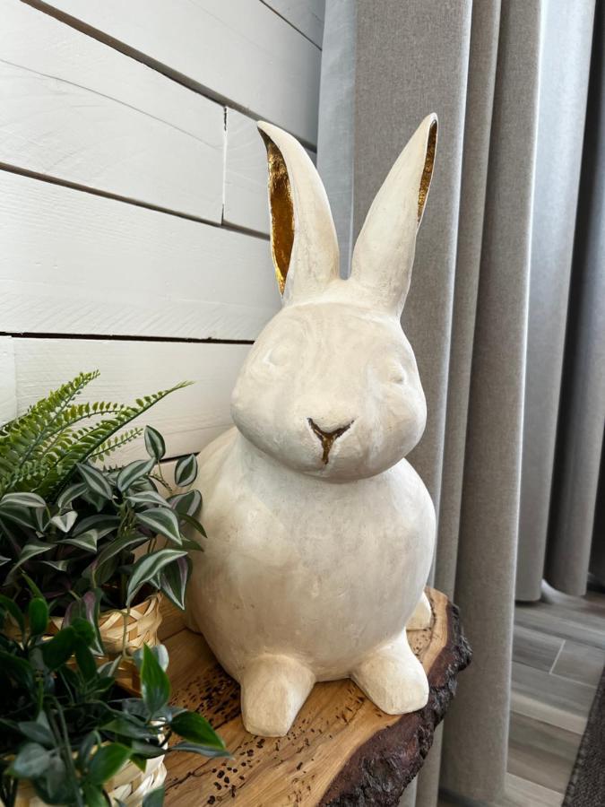 شقة Pan Pan Le Lapin Aubagne-Cassis-Aix En Provence المظهر الخارجي الصورة
